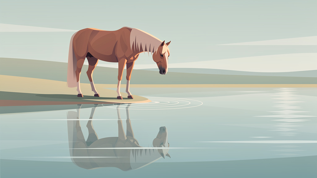 Understanding Horse Insurance: What to Cover When Buying
